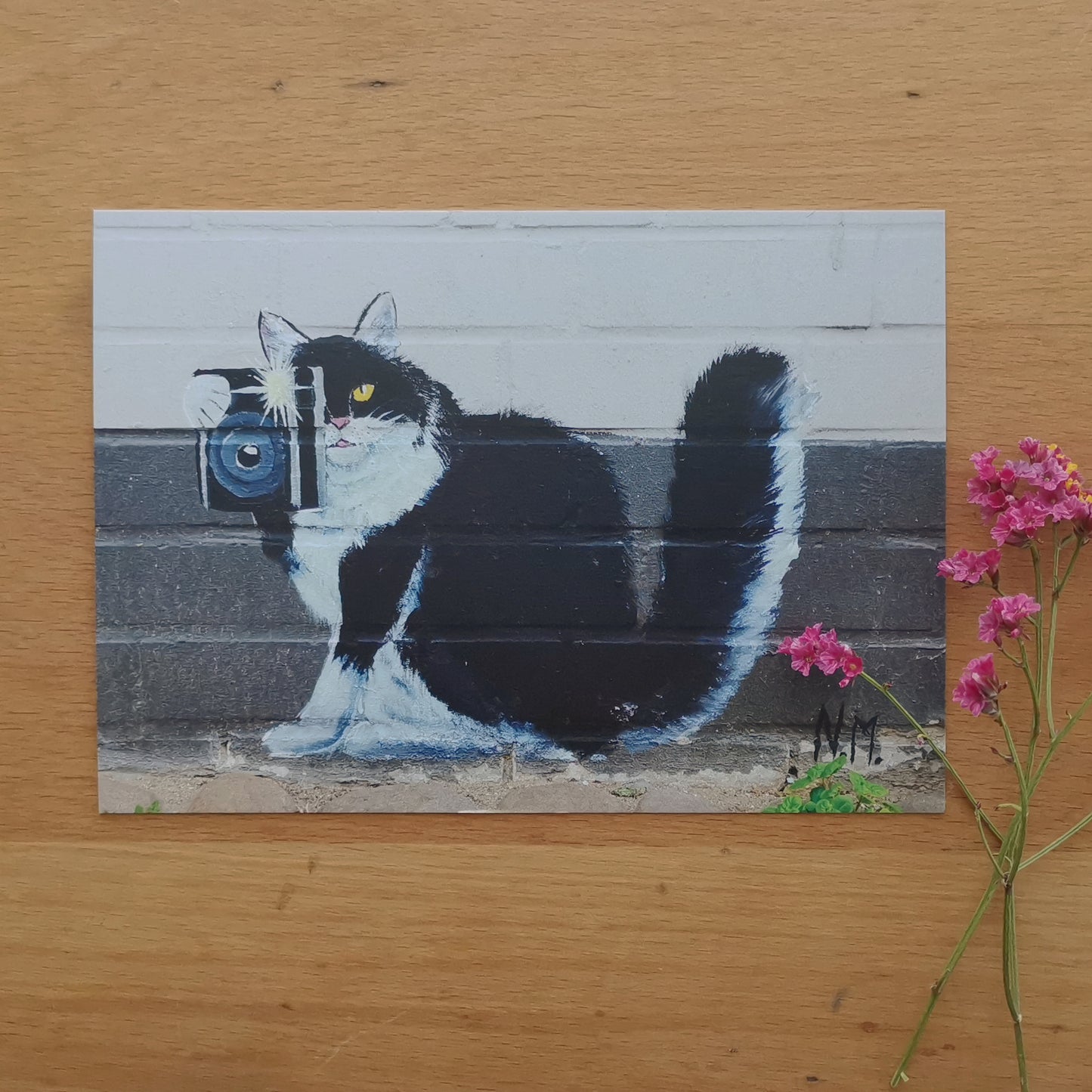 The Street Art Cats | Flensburg Norderstraße | Post Cats Set No. 2