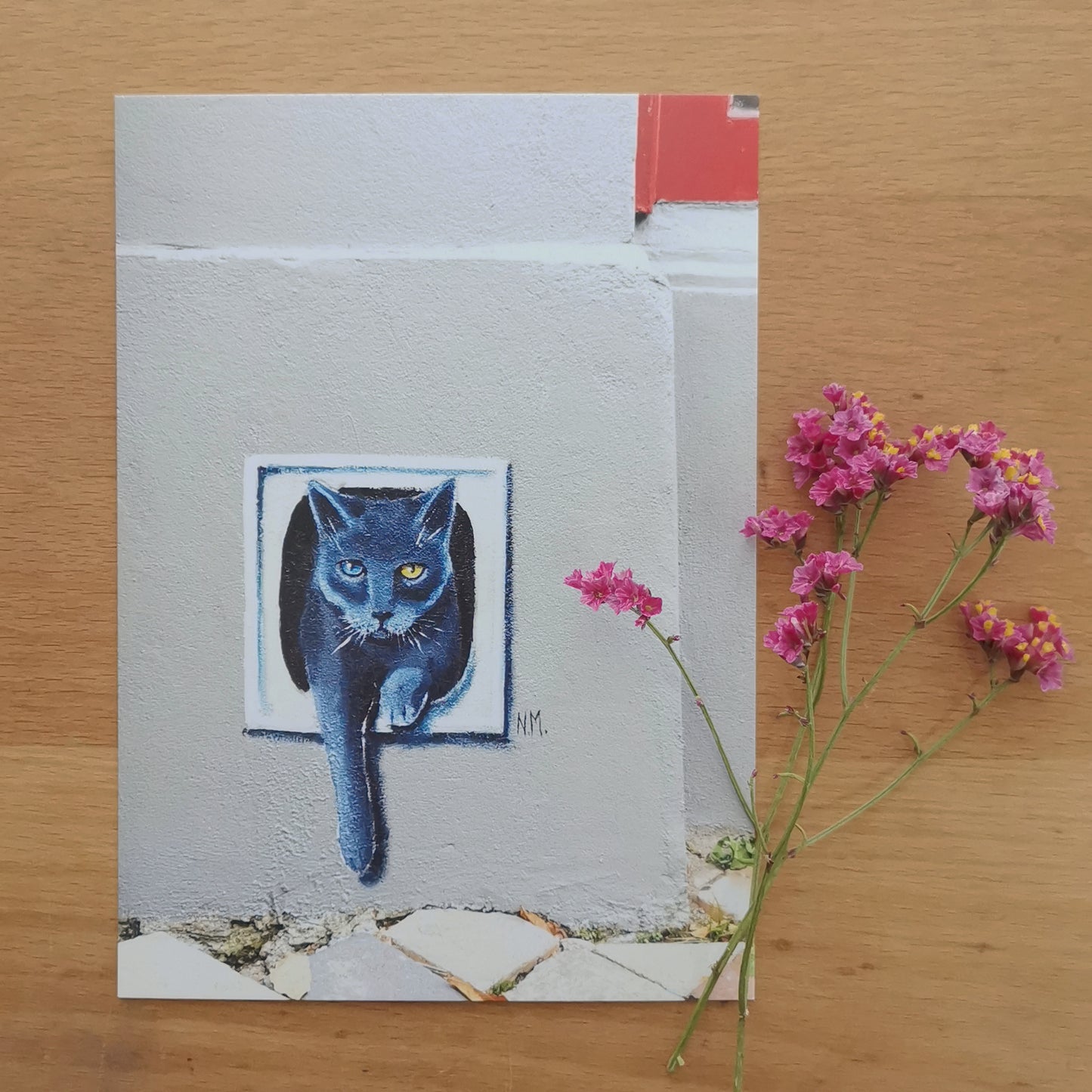 The Street Art Cats | Flensburg Norderstraße | Post Cats Set No. 2