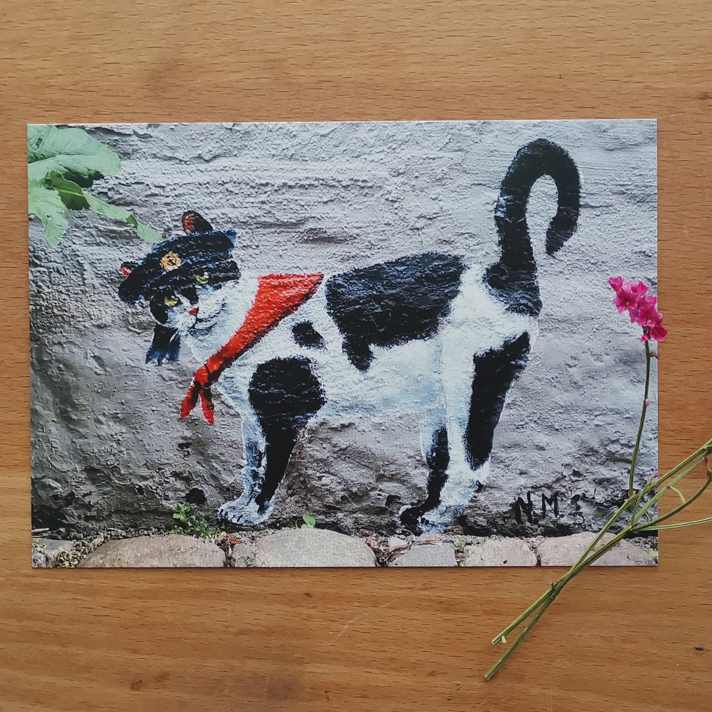The Street Art Cats | Flensburg Norderstraße | Post Cats Set No. 4