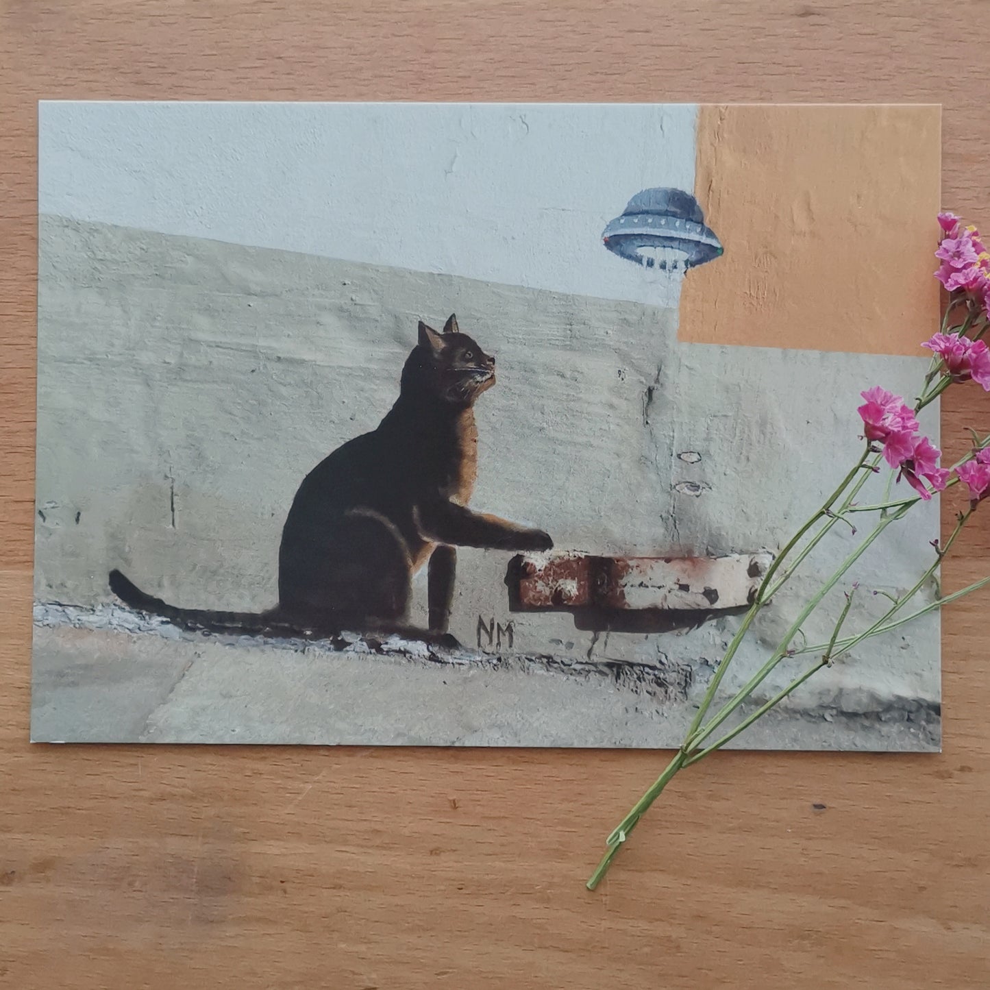 The Street Art Cats | Flensburg Norderstraße | Post Cats Set No. 3