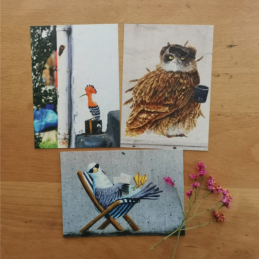 Birds | Street Art Flensburg | Postcard Set