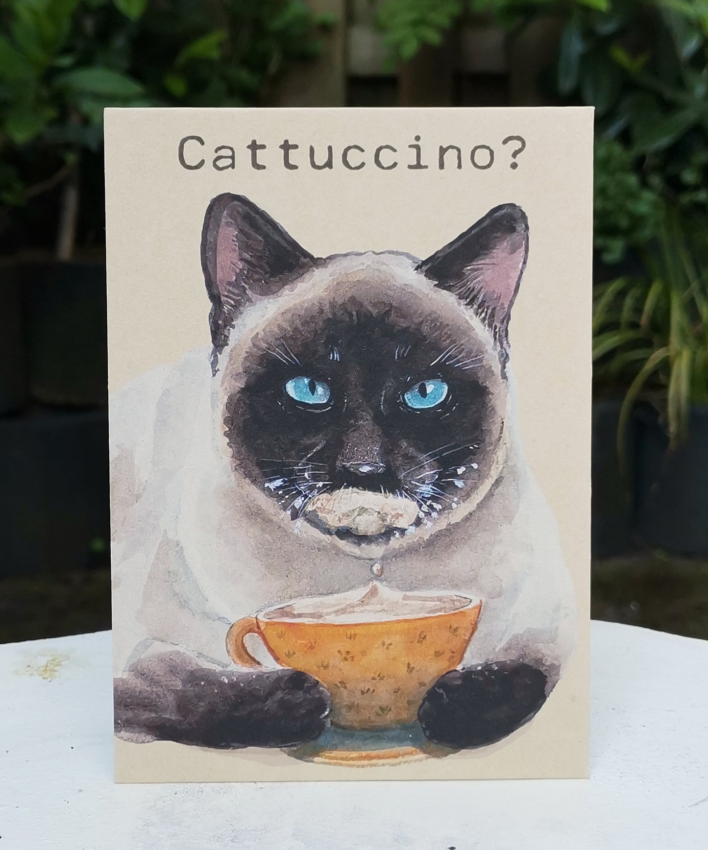 Postcard - Cattuchino