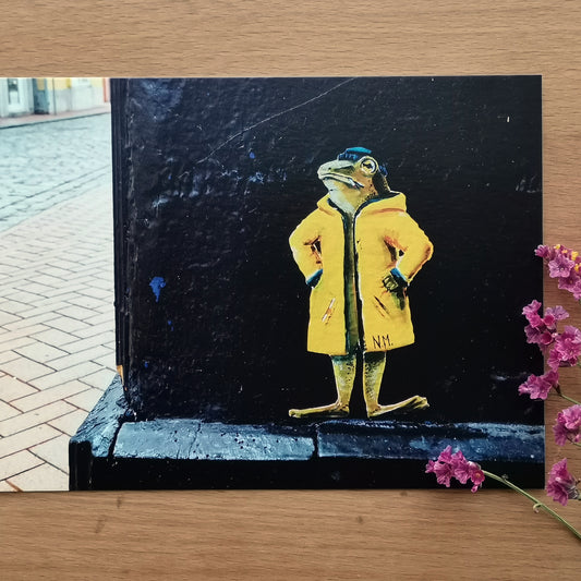 Curious Creatures | Street Art Flensburg | Postcard Set