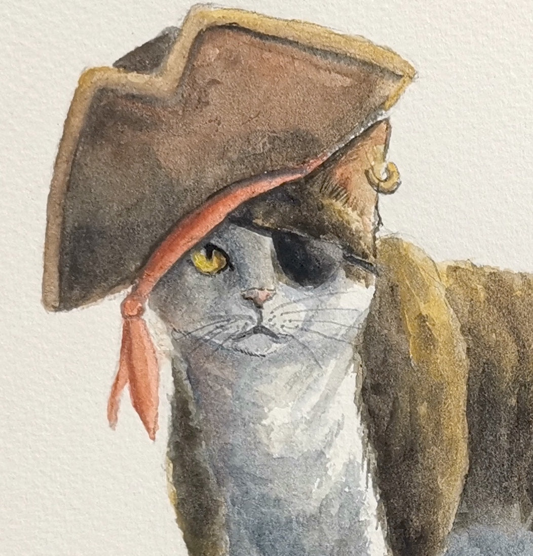 Der Piratenkater | Aquarell Malerei | DIN A4