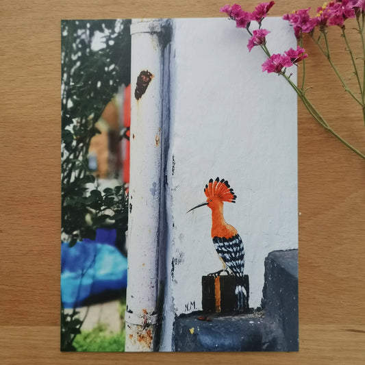 Birds | Street Art Flensburg | Postcard Set