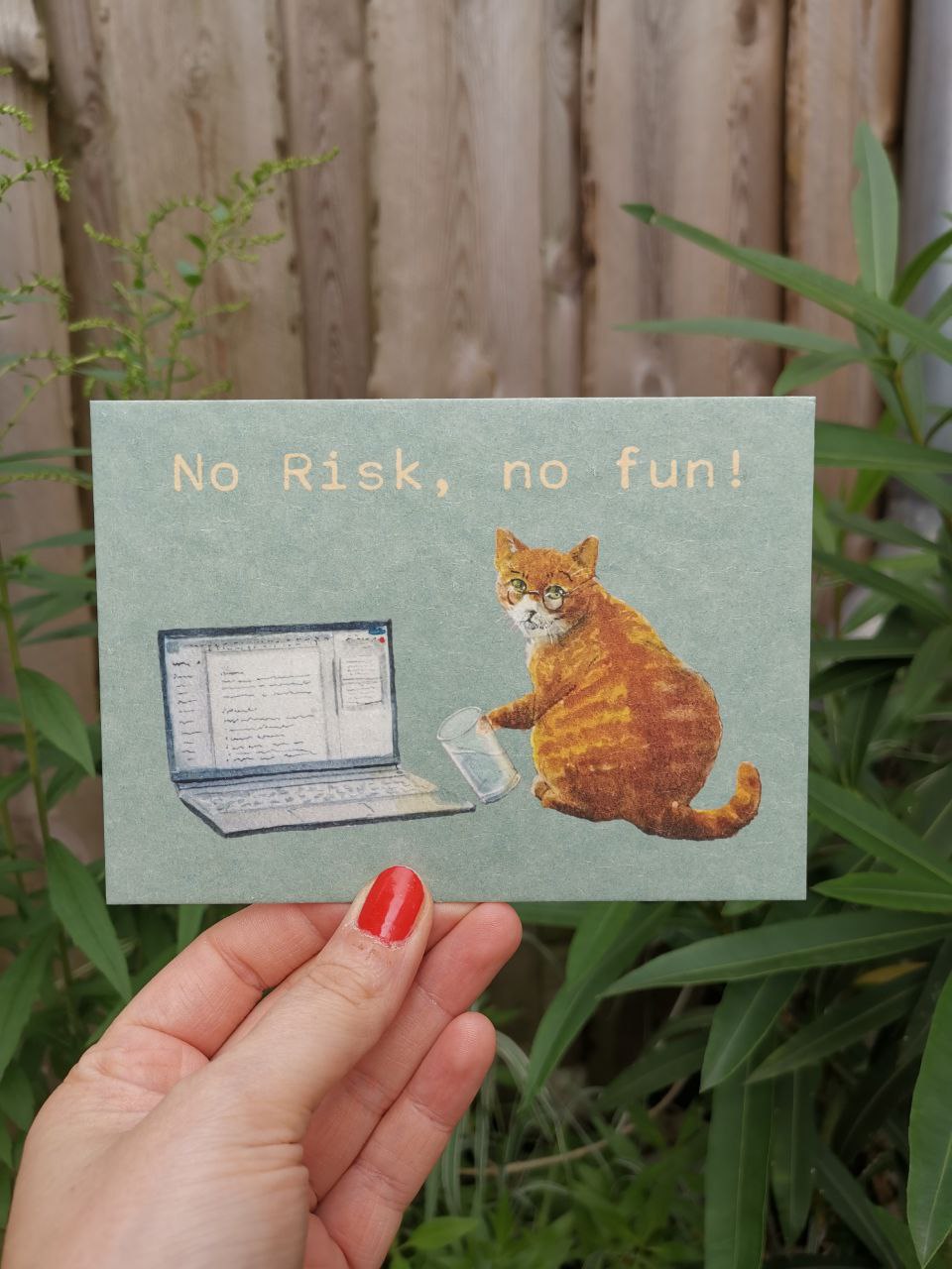 Postcard - No risk no fun!